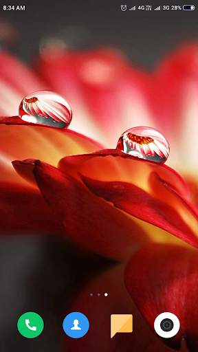 Macro Wallpaper HD screenshot 14