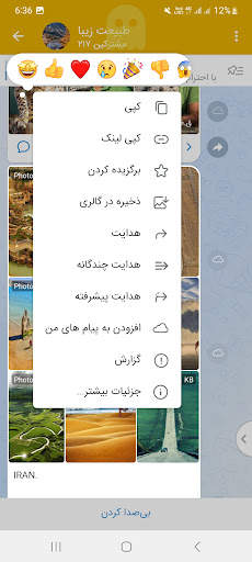 Talaei messenger screenshot 3