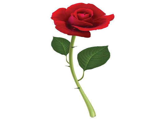 Red rose 4 تصوير الشاشة