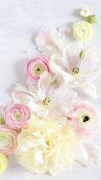 Flower Wallpapers screenshot 15
