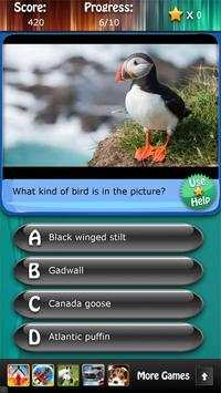 Bird Species Quiz HD screenshot 5