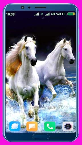 Horse Wallpaper screenshot 2