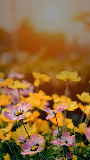 Beautiful Spring Garden APUS Live Wallpaper screenshot 6