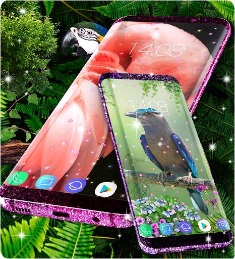 Live wallpapers birds screenshot 4