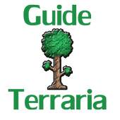 Guide For Terraria 0.1
