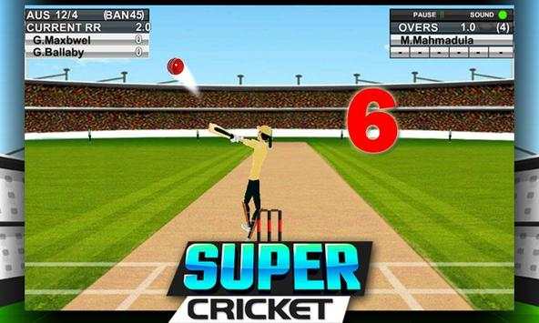 Super Cricket Championship screenshot 1