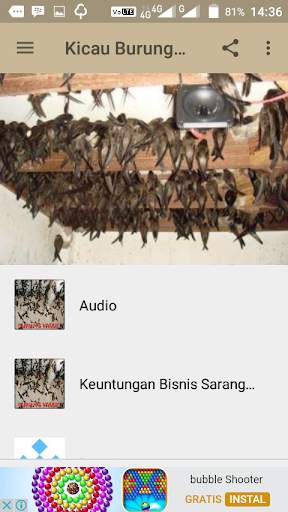 Kicau Burung Walet screenshot 2
