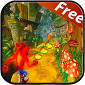 Temple crash bandico Adventure run 2.0