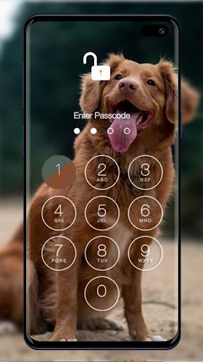 Golden Retriever Wallpapers & Lock Screen screenshot 2