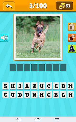 Tiere Quiz - Raten und lernen screenshot 3