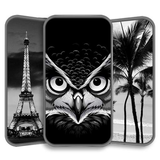 Black and White Wallpaper HD 1.0