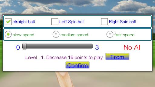 Sports : Cricket Batting screenshot 4