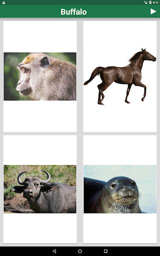 Learn Animals and Birds in English - Quiz screenshot 13