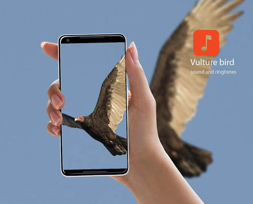 Vulture bird Sounds screenshot 1