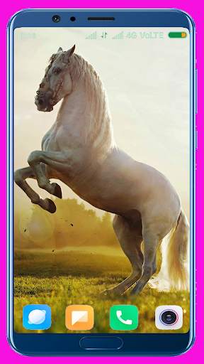 Horse Wallpaper screenshot 11