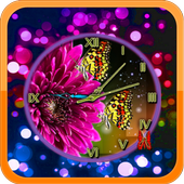 Chrysanthemum Clock icon