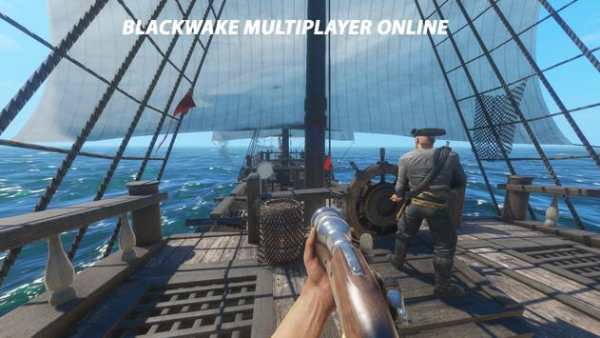 Blackwake Multiplayer Sims 3D screenshot 2