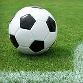Simple Betting Tip Official App