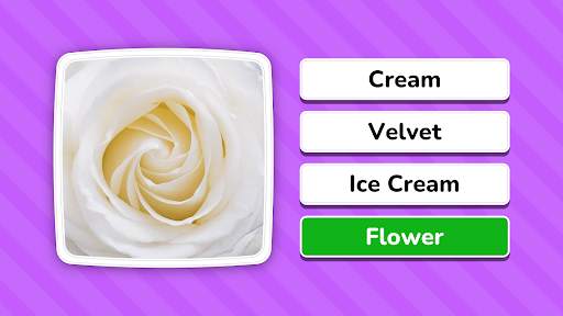 Zoom Quiz: Close Up Pics Game screenshot 8