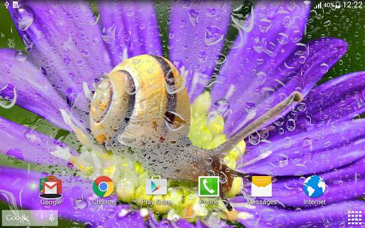 Rainy Flowers Live Wallpaper screenshot 8
