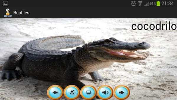 Zoo Baby - English Edition screenshot 4