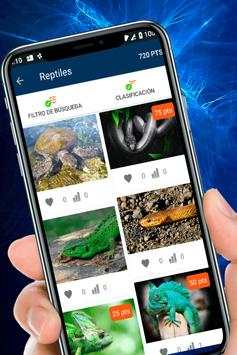 Wallpaper for WhatsApp screenshot 2