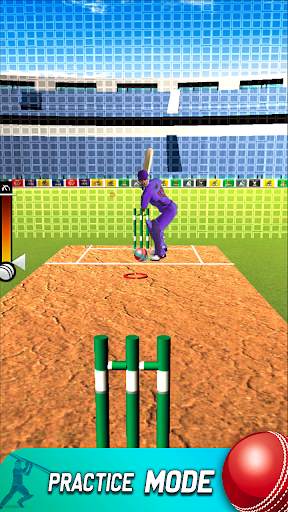 World Cricket T2O Cup Games screenshot 3