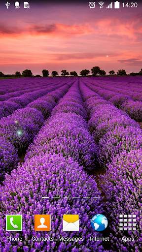 Flower Live Wallpaper screenshot 5