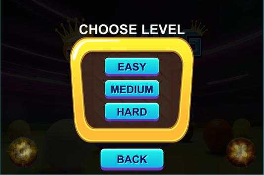 13 Ball King screenshot 3