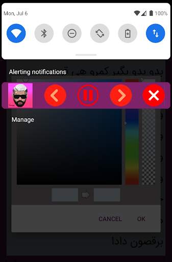 آهنگ های ساسی مانکن screenshot 8