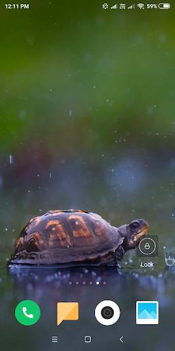 Turtle HD Wallpaper screenshot 13