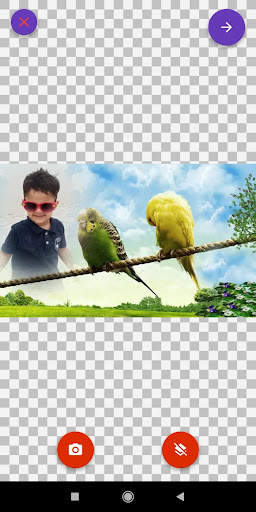 Bird Photo Frames Editor: DP, Quotes, Greeting screenshot 6