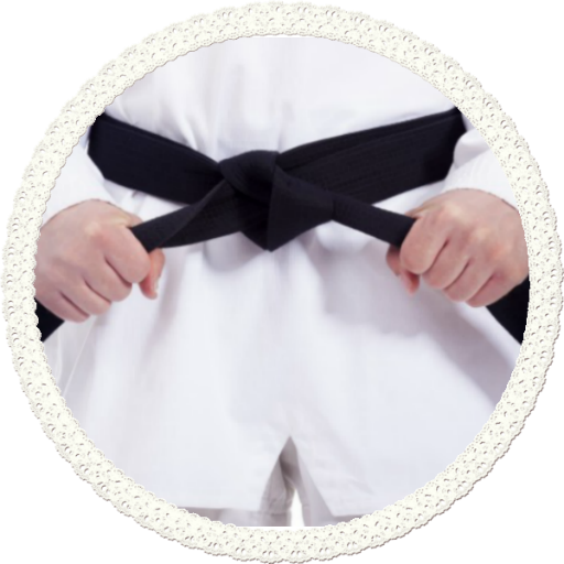 Taekwendo guide иконка