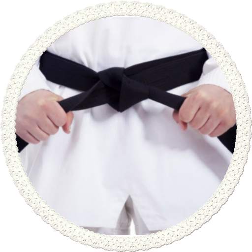 Taekwendo guide 1.2