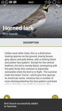 75 Birds Sound World screenshot 4