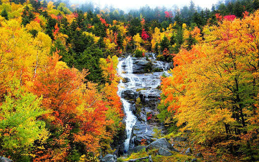 Autumn Wallpapers | hd backgrounds screenshot 13