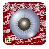 Camera vivo For V11 Pro 230.05.24