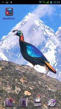 Beautiful Nepal screenshot 6