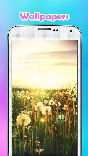 10000  Wallpapers MX 3 تصوير الشاشة