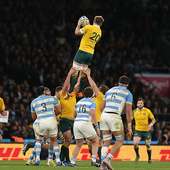 Rugby World Cup logo