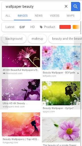 WebBe Fullscreen Browser screenshot 3
