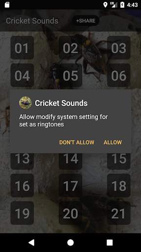Cricket Sounds screenshot 3