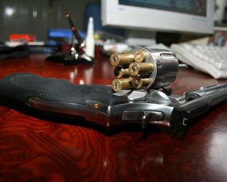 Firearms Guns Themes screenshot 4
