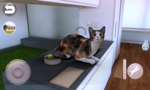 Konuşan Calico Kedisi screenshot 7