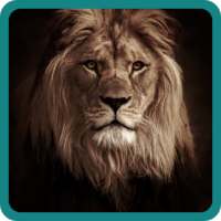 Lion King Game logo
