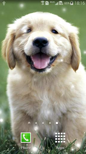 Puppies Live Wallpaper screenshot 2