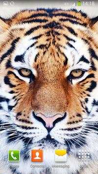 Tiger Live Wallpaper screenshot 10