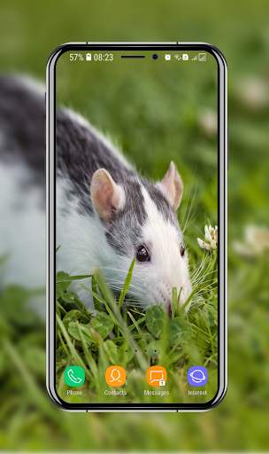 Cute Hamster Wallpaper screenshot 4