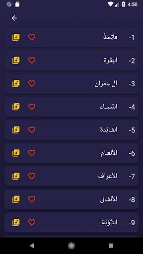 Quran e Kareem MP3 Offline screenshot 3