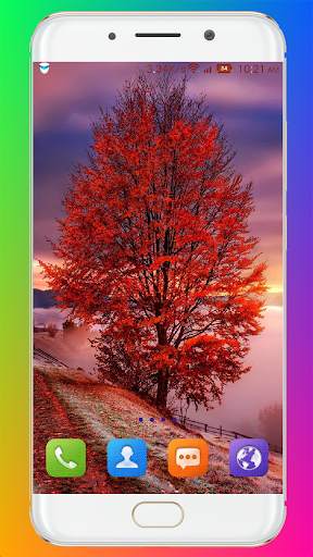 Autumn Wallpaper HD screenshot 16